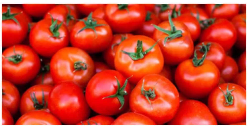 Can chickens eat tomatoes