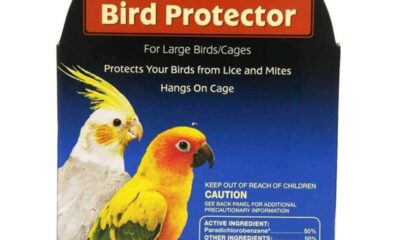 fascinating world of avian wildlife, one tool stands out as an essential aide for bird enthusiasts and conservationists alike - the Wild Harvest Bird Protector.