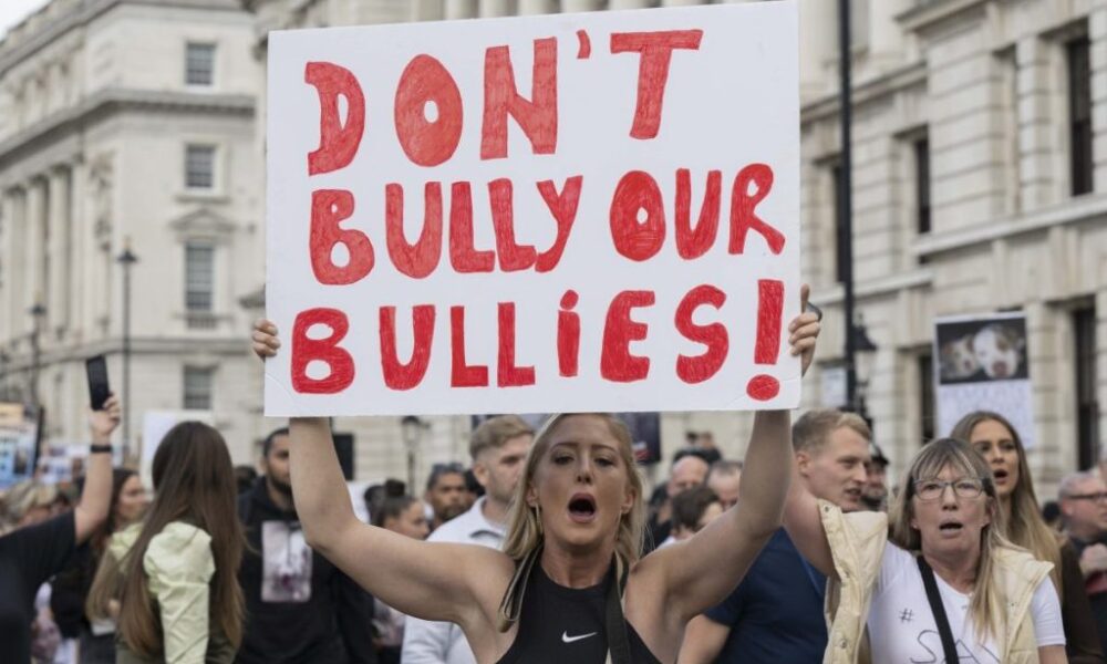 Neutered Pitbull Muscle Does Neutering a Pitbull Affect Muscle Growth