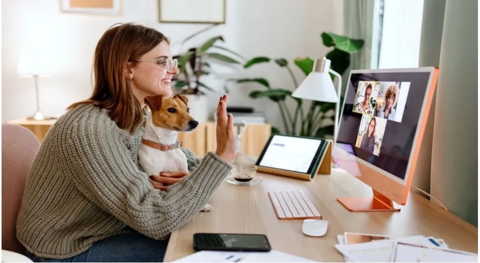 The Business of Dog Grooming: Online Courses for Entrepreneurs